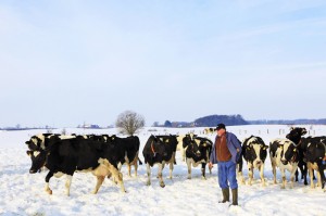 Ein wenig Bewegung an der frischen Luft kann nie schaden, meint Altbauer Hans-Hermann Ehlers. Und die Bewegung im Schnee verschafft dazu auch noch eine gesunde Fußwäsche. 