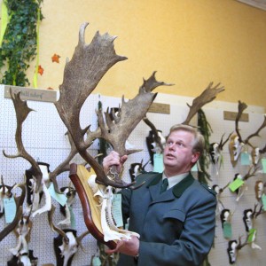 Mit der Jahresstrecke und den Trophäen des männlichen Wildes können die Jäger aus dem Hegering Acht zufrieden sein, meinte Förster Helge Zarp. Besonders beim Damwild gebe es immer wieder kapitale Hirsche rund um Neumünster. 