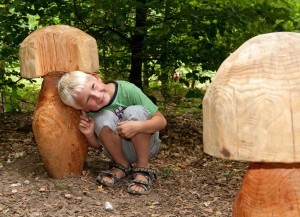 "Das ist ein prima Platz, um sich wie ein Wichtel unter zu stellen", meinte der sechsjährige Jannes Greve auf der Entdeckungstour durch den neuen Wichtelwald im Erlebniswald Trappenkamp. 