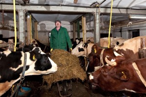 Zum letzten Mal steht der Schillsdorfer Landwirt Jürgen Dahl auch am Heiligabend zum Füttern und Melken im Stall. Kleine Höfe, wie der von Jürgen und Maren Dahl aus Schillsdorf sterben aus. 