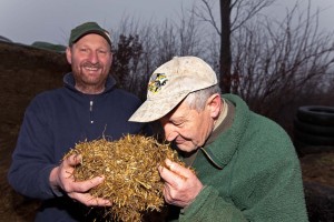 Die Mühe und Sorgfalt in der Grasernte und bei der Silagezubereitung hat sich gelohnt. Gute Grassilage braucht Fingerspitzengefühl, erklärte Andreas Sötje (links), während Senior Detlef Sötje den Geruchstest machte. "Frisch und angenehm, wie frisch gepresstes Heu, muss sie riechen", sagt Senior Detlef Sötje. 