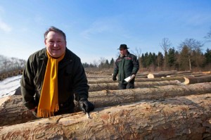 Raritäten, wie dieser Ahornstamm, der als genannte Zigarettenriegel bei Geigen-oder Gitarrenbauern gesucht ist, sind Besonderheiten, die nicht jeden Tag zum Verkauf stehen, freute sich Auktionator Dr. Manfred Quer über das breite Angebot der diesjährigen Holzversteigerung. 