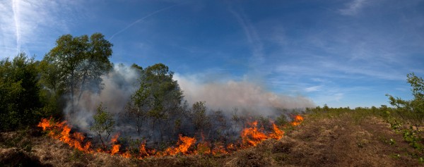 Brand_Dosenmoor_Pano_09_05_2011_IMG_8545