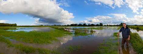 Hochwasser auf den Bönebütteler Wiesen an der Brammer Au. Hier fällt der dritte Grasschnitt wohl aus“, meinte Landwirt Thore Biß. 