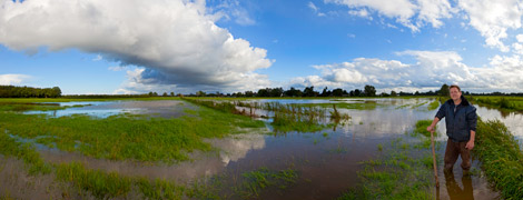 IMG_1830 Hochwasser auf den Bönebütteler Wiesen an der Brammer Au. Hier fällt der dritte Grasschnitt wohl aus“, meinte Landwirt Thore Biß.
