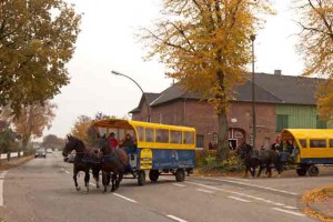 Gemütlich ging es für die Zuschauer zu. Mit den Planwagen von Sven Voigt aus Tasdorf ging es beschaulich von Station zu Station durch die Felder und Wiesen. 