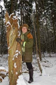 Ob für Spechte, Fledermäuse, Pilze oder Käfer, so genanntes Totholz ist im Schutzwald gern gesehen und schafft wertvolle Lebensräume, sagt Herlich Marie Todsen-Reese von der Stiftung Naturschutz.