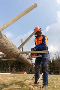 Sven_Damann_Forstwirtazubi_IMG_6163