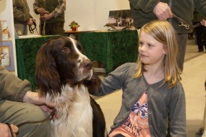 Emilia Böttger (9) aus Wakendorf hatten es auch die Jagdhunde angetan. Die zeigten sich wie hier der zweijährige französische Vorstehhundrüde Lorbas aus dem Zwinger Lüttmoor aus Loop ausgesprochen verträglich. 