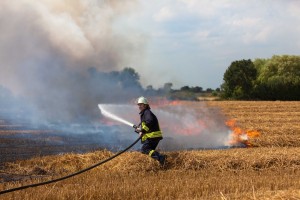 Gegen 13.45 Uhr sorgten Sonnabend brennende Strohfelder für Aufregung bei den Bauern und den Freiwilligen Feuerwehren aus Großharrie und Schillsdorf. Auf einem Weizenacker in Großharriefeld hatte sich das in langen Schwaden zum Pressen bereitliegende Stroh entzündet. Da genügt ein Funken aus einer losen Kabelverbindung oder eine unachtsam entsorgte Zigarettenkippe oder auch ein runder Flaschenboden, der wie ein Brennglas wirkt, und das steht in Flammen, meinten die Feuerwehrleute zur möglichen Brandursache. Glück im Unglück für den Großharrieer Landwirt Carsten Blöcker und seine Nachbarn. Es brannte nur Stroh ab. Während der Wind das Feuer über mehrere Stoppelfelder rasen ließ, rückten Feuerwehren und Landwirte mit Treckern und Güllewagen dem Feuer zu Leibe und konnten ein Übergreifen auf angrenzende Weizenfelder verhindern.