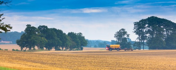 Bereits jetzt im August werden wie hier auf Gut Altbokhorst die Felder wieder für die nächste Saat vorbereitet. Von der Gülle als wertvollem Grunddünger ist dank modernster Technik kaum etwas zu riechen. 