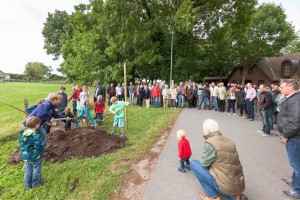Gut drei Meter hoch und sechs Jahre alt war die Festeiche, die von den Rendswührener Kindern zur Feier des Tages gepflanzt wurde.