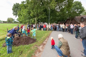 Gut drei Meter hoch und sechs Jahre alt war die Festeiche, die von den Rendswührener Kindern zur Feier des Tages gepflanzt wurde. 