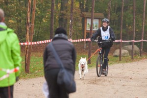 Nicht die Schnellste, aber glücklich, sauste Anke Pries aus Översee nach ihrem ersten Rennstart überhaupt mit Sibirian Husky Hündin Chiara ins Ziel. 