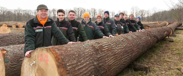 Um solche Spitzenstämme für bestes Furnierholz zu ernten, braucht es viele Generationen von Förstern, die das Wachstum solcher Bäume begleiten, berichtete Förster Björn Winter (links) aus Bordesholm. Der zehn Meter lange Eichenstamm brachte den Höchstpreis von 7. 264.- Euro 