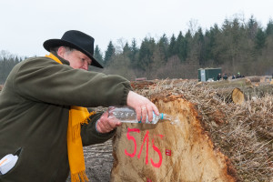 Ein Schuss Wasser macht die Färbung und die besondere Maserung dieser sogenannten Roseneiche besser sichtbar, zeigte Dr. Manfred Quer. Der Blick auf solche Besonderheiten lohne auch im Privatwald immer.    