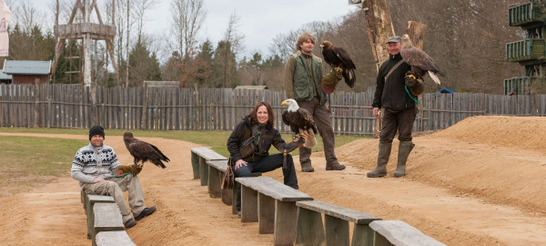 Arena der Adler. Gleich vier Adlerarten können Besucher jetzt im Erlebniswald erleben. Bendix Schlosser zeigte Steppenadlerweib Natascha, Brigitte Damm Weißkopfseeadler Yukon, Miroslav Vrbicky ein junges deutsches Steinadlerweib und Dietmar Damm den europäischen Seeadler Rocker (von links). 