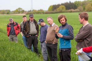 Bei den Feldbegehungen lassen sich die Bauern gern gegenseitig über die Schulter sehen. Die gesammelten Erfahrungen kommen allen zugute, weiß Pflanzenschutzberater Andreas Klindt (2. von rechts) von der Landwirtschaftskammer Schleswig-Holstein. 