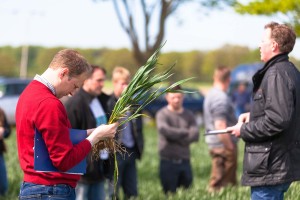 Pilze, Viren, Schädlinge - Kammerreferent Helge Stephan schaut ganz genau hin. Pflanzenschutzmittel werden immer sparsamer eingesetzt. Da kommt es besonders auf den richtigen Zeitpunkt und Fingerspitzengefühl an, sagen die Landwirte. 