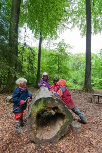 Zunächst einmal dürfen die Kinder im Bokhorster Waldkindergarten weiter durch den Wald sausen. Eine Entscheidung über die Genehmigung zur Aufstellung oder des Standortes des Bauwagens als Schutzraum steht noch aus.  