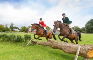 Nicht sportlicher Wettkampf, sondern viel Spaß und Freude stehen bei der siebten Tungendorfer Reitjagd im Vordergrund, sagen die Gastgeber Babs Pröllochs und Jörg Hermann. Deswegen geht es wie hier beim gemeinsamen Sprung auch auf der Reitjagd über gut bezwingbare Hindernisse. 