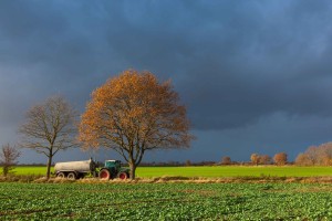 Wenn wie hier bei Großharrie im Kreis Plön die Sonne durch die Wolkenbänke bricht, sorgt das für eindrucksvolle Stimmungen im grauen Novembereinerlei.