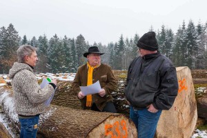 Monika und Peter Bröcker aus Hemdingen kommen jedes Jahr gern zur Holzsubmission nach Daldorf. Mit Dr. Manfred Quer von der Holzagentur wird auch über Restpartien hart verhandelt. Aus dem gekauften Eschenholz werden einmal Stiele für Besen, Äxte oder Schaufeln und anderes Gerät. 