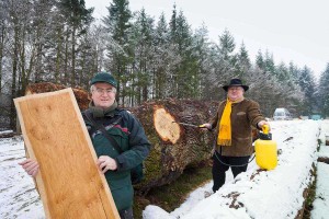 Harald Nasse von den Landesforsten und Dr. Manfred Quer von der Holzagentur sind "Alte Hasen" im Holzgeschäft. Über so eindrucksvoll gemusterte Einzelstämme wie über die sogenannte Roseneiche im Bild freuen sich die beiden Fachmänner immer wieder.