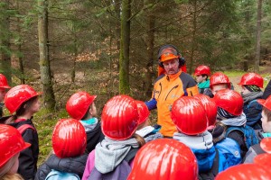 Ohne Helm wäre das Fällen eines Baums viel zu gefährlich erfuhren die Schüler von Forstwirt Michael Wauer. Beim Arbeiten mit der Motorsäge gehören Gehörschutz und Schutzgitter dazu. 