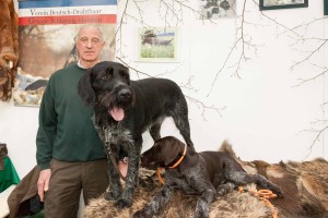 Die wahren "Helden" der Jagd sind oft die Jagdhunde, weiß der erfahrene Hundeführer Wolfgang Wahlis (64) aus Heinkenborstel. Deutsch-Drahthaar-Rüde Max II vom Liethermoor ist drei Jahre und kennt den Jagdbetrieb bereits. Junghund Dako vom Fußdamm ist erst vier Monate alt und steht noch vor dem Beginn der jahrelangen Ausbildung. 