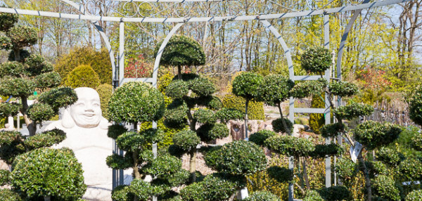 Dekorative Formschnitte Gartenkunst und Skulpturen laden zum Erkunden ein