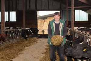 Mais ist eine der besten Winterfutterpflanzen für die Milchkühe oder auch Mastbetriebe. Eine gute Maissilage verbreitet einen angenehm säuerlichen Geruch, sagt Milchviehhalter Heiner Staggen aus Schipphorst. 