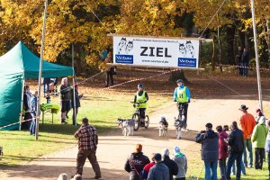 Geschafft! Zwei Zweiergespanne teilten sich hier nach 4,5 Kilometer Strecke den Zieleinlauf und lieferten sich noch einmal ein kleines Kopf an Kopf Rennen in der klasse mit zwei Hunden vor dem Scooter 