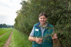 Holunderbüsche mit Fliederbeeren, Weißdorn mit Vitamin-C reichen Beeren und Schwarzdorn, der als Schlehe bekannt ist sorgen für Vielfalt im Knick, zeigte Heiner Staggen aus Schipphorst seinen Wettbewerbsknick, der vor zehn Jahren zuletzt geschnitten wurde. 