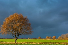 Novembertage bei Großharrie im Amt Bokhorst-Wankendorf.