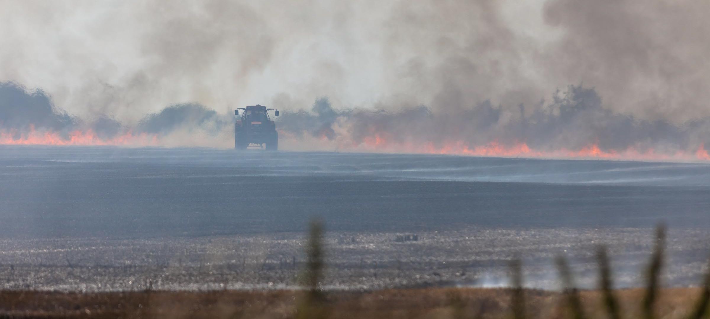 Ein Flächenbrand bei Großharrie im Kreis Plön hielt Feuerwehr und Landwirte auf Trab