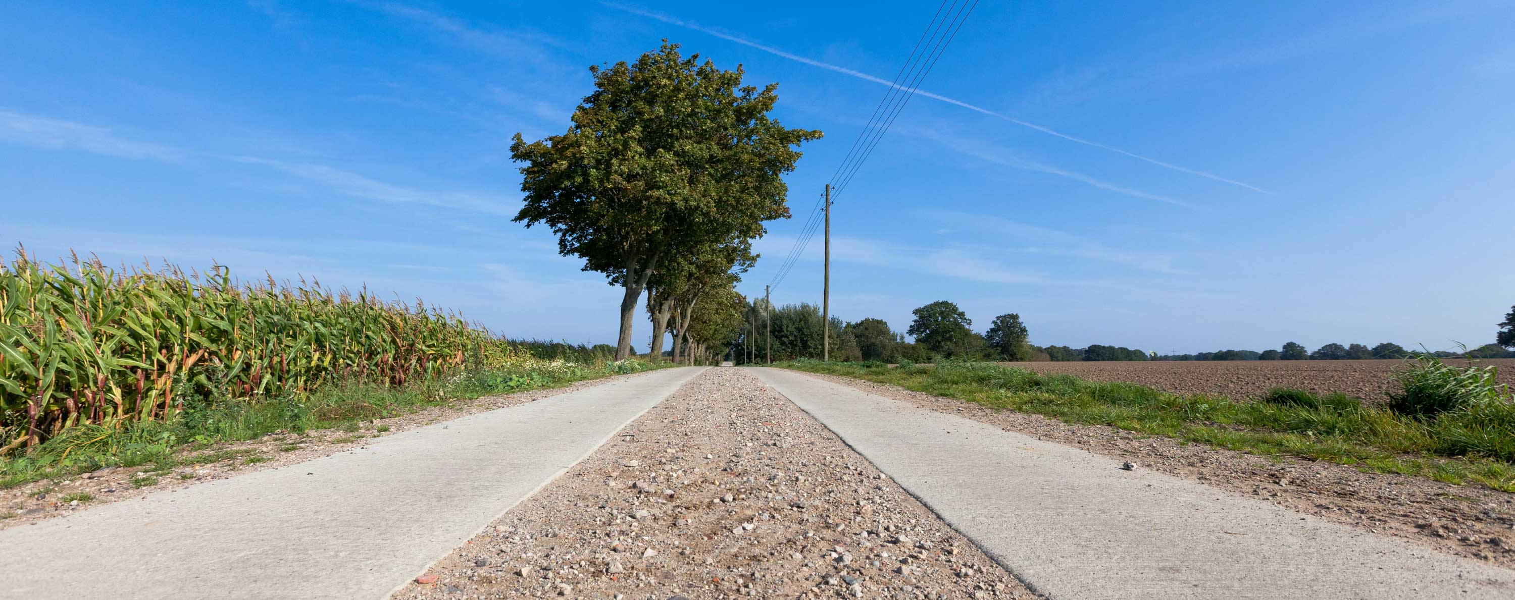 Bokhorst soll ein neues Baugebiet erhalten. Spurbahnen in Schillsdorf und Großharrie sind holperig gebaut worden