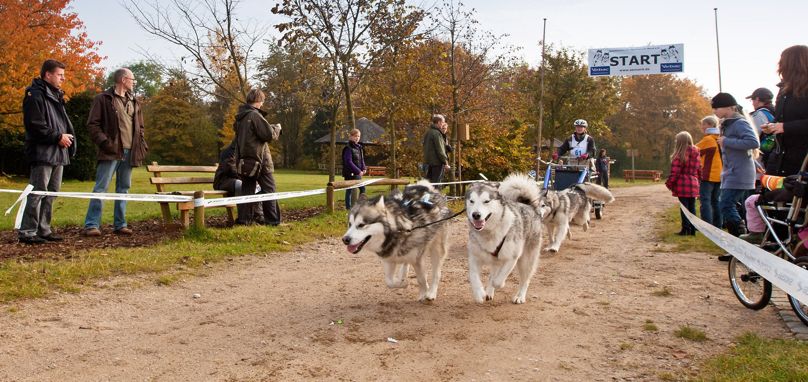 Am 25. und 26. Oktober 2014 lädt der Schlittenhunde-Sportverein Nord e.V. zum 16. internationalen Schlittenhunderennen im Erlebniswald Trappenkamp ein.