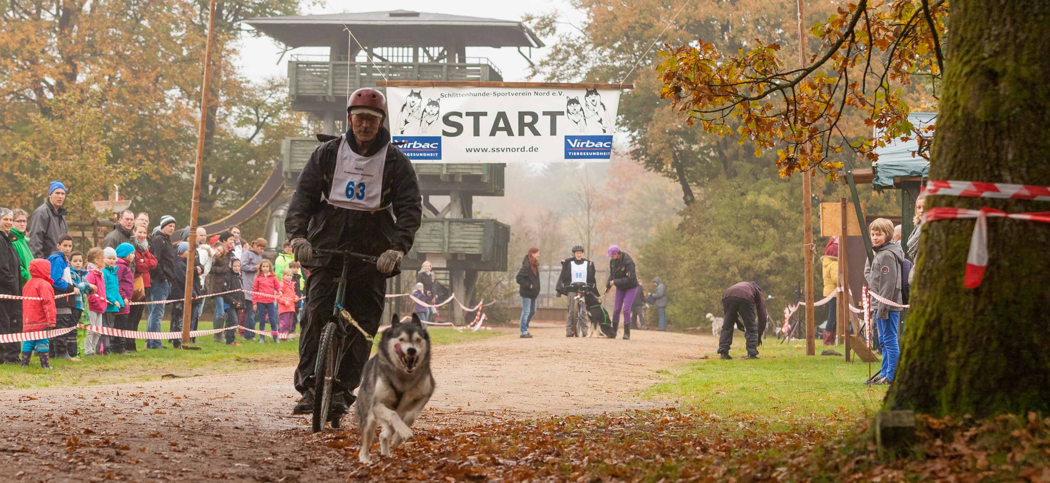 Schlittenhunde starteten unter strahlender Herbstsonne zu spannenden Rennen