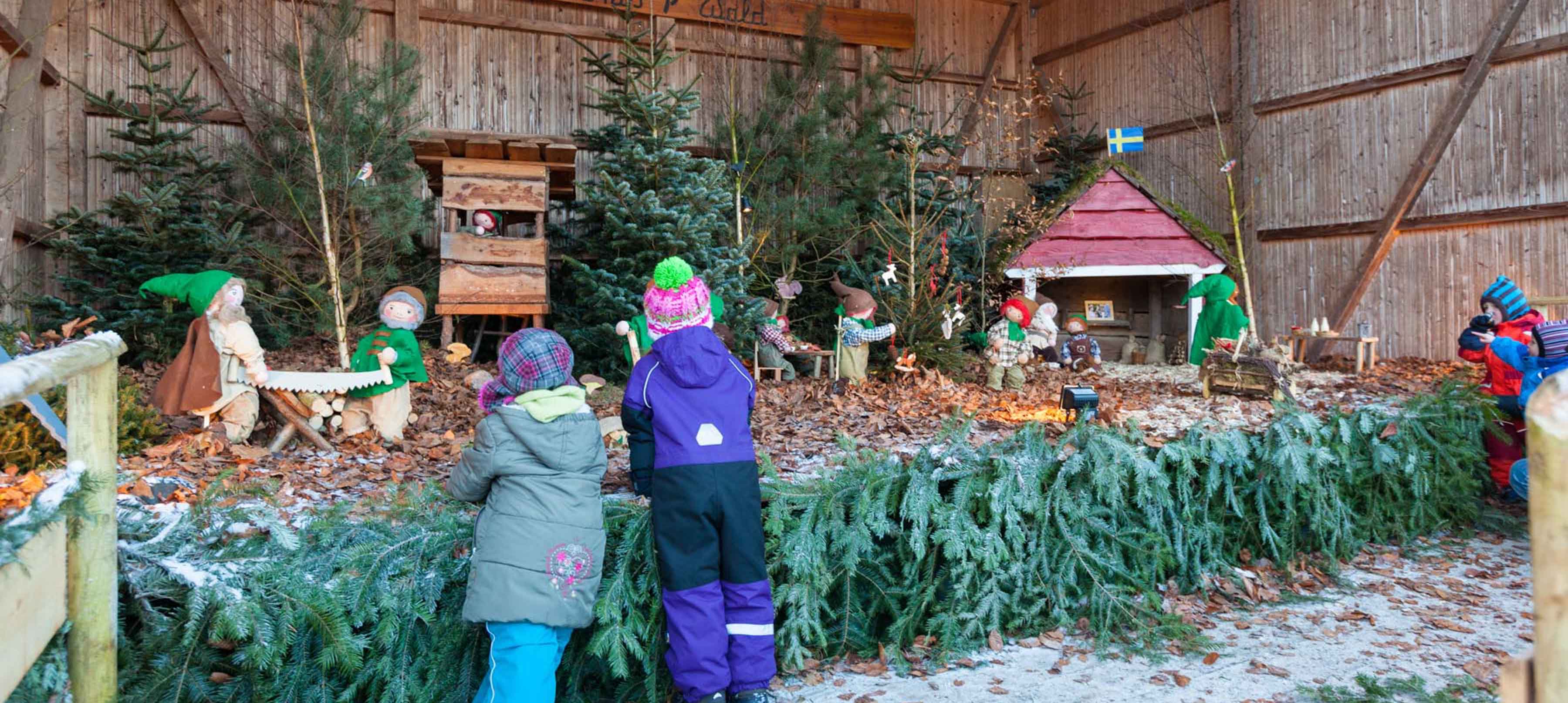 Erlebniswald – Waldweihnacht für Schulklassen – noch Plätze frei!