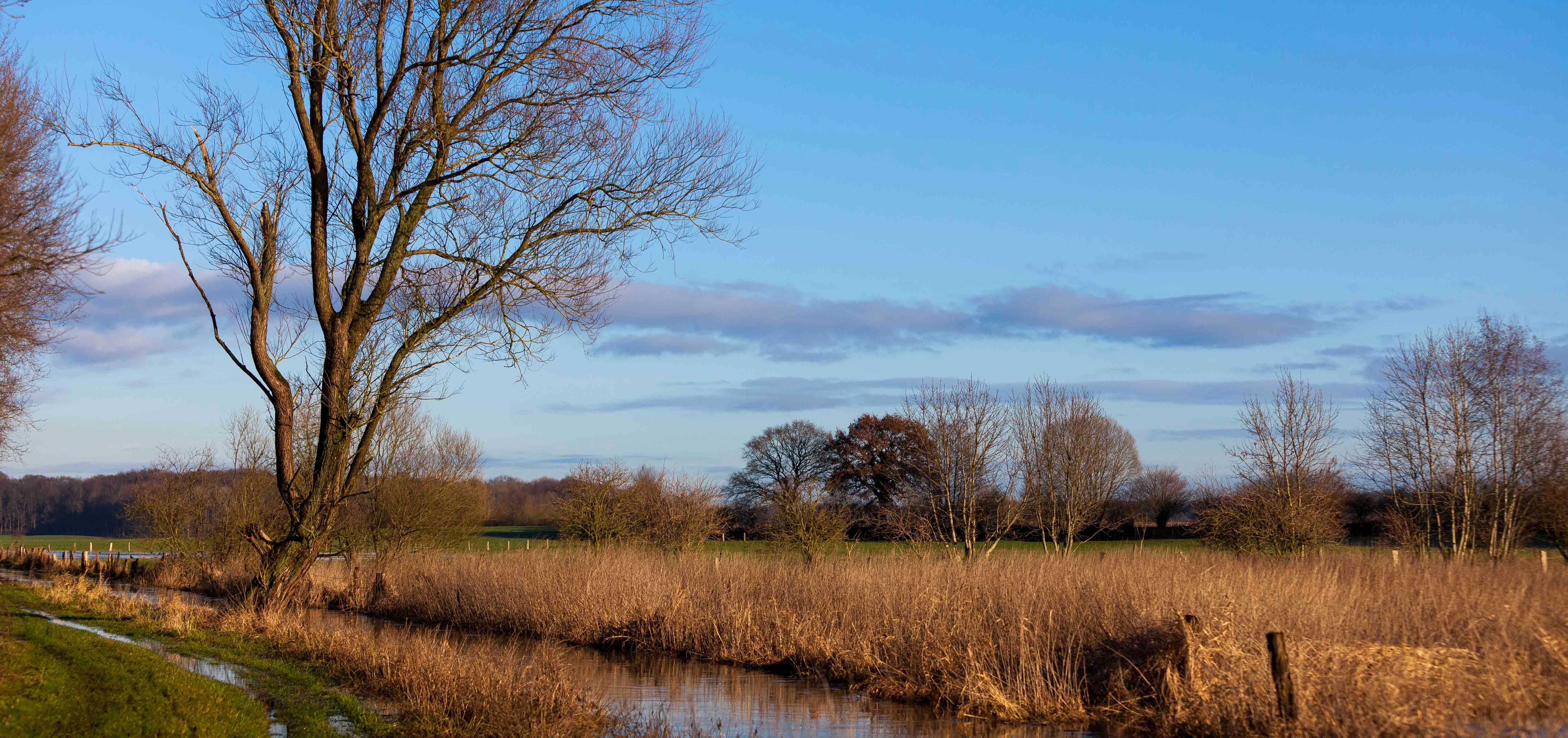 Das Hochwasser hat sich zurückgezogen – dem Regen sind Sonne und Kälte gefolgt. Jetzt lädt die kühle Winterlandschaft zum Verweilen ein