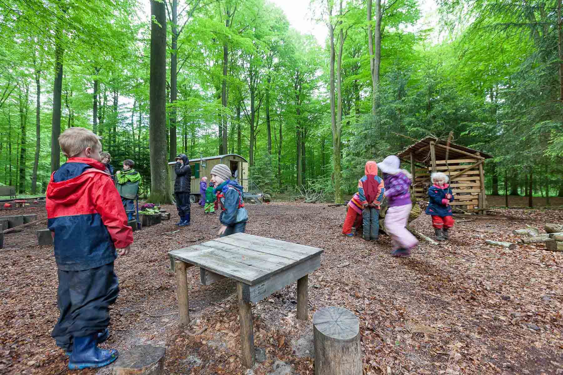 Bokhorster Waldkinder müssen vorerst nicht umziehen