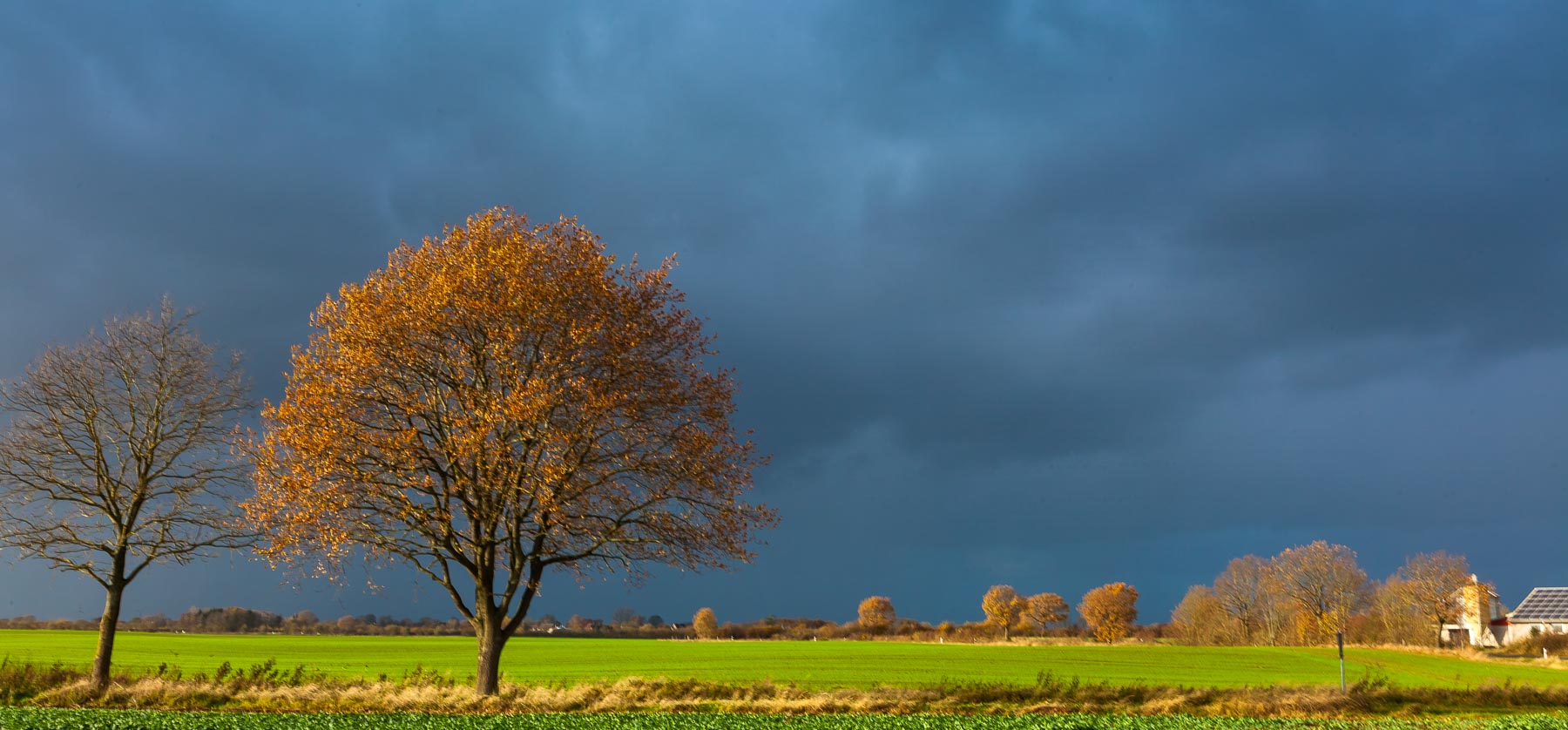 Abschied vom Herbst – Sturm zieht übers Land