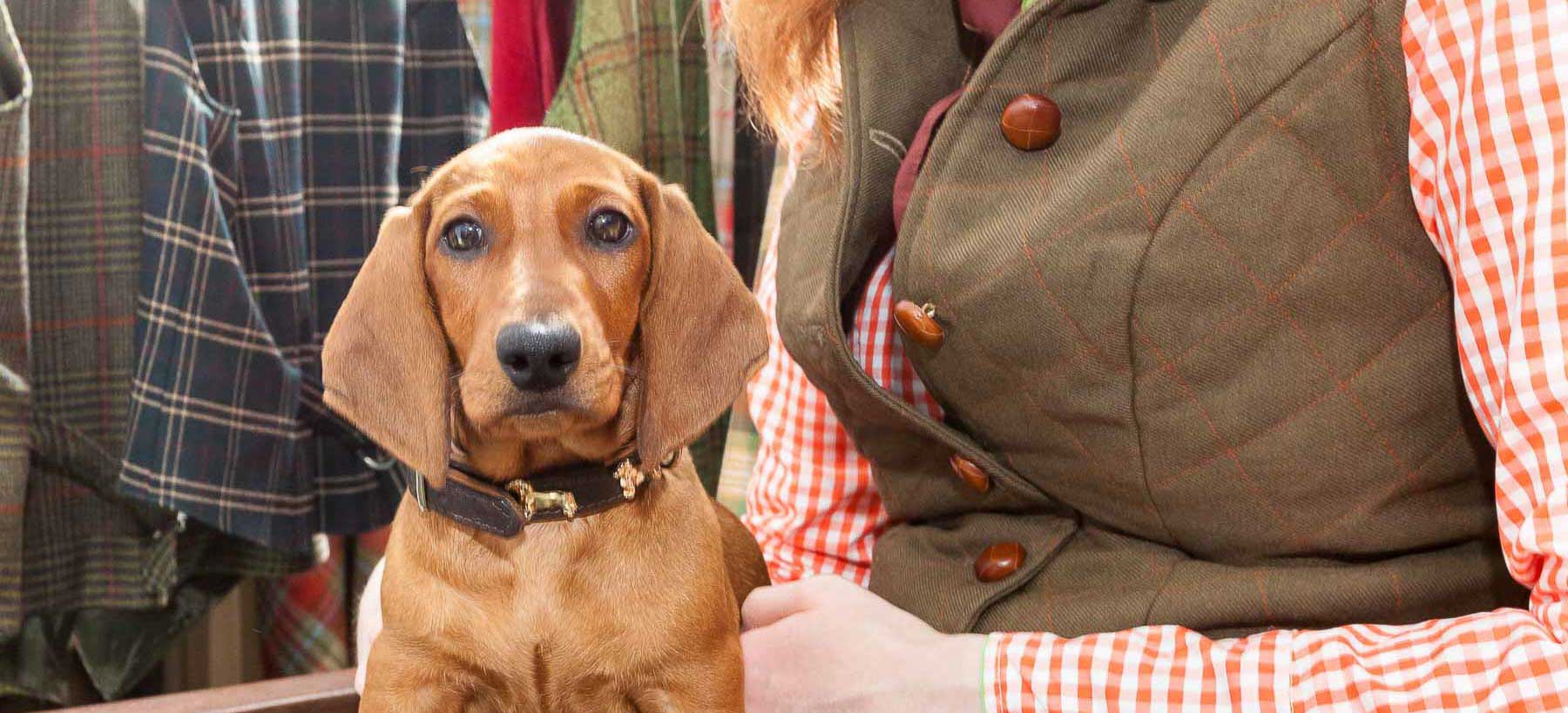 Die neue Messe „Outdoor – Jagd &Natur“ in Neumünster könnte ein neues Zugpferd im Norden werden. 11000 Besucher kamen in die Holstenhallen