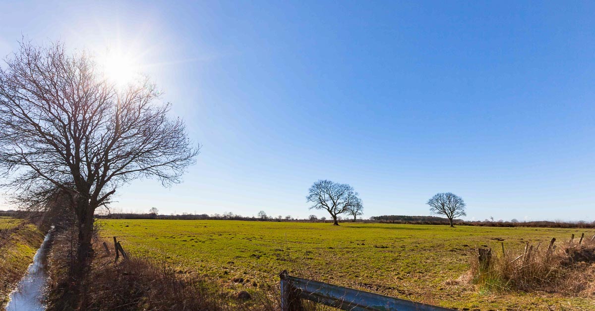 In Tasdorf könnte die größte Windeignungsfläche im Kreis Plön entstehen. Davon sind auch die Gemeinden Bönebüttel, Großharrie und Schillsdorf betroffen