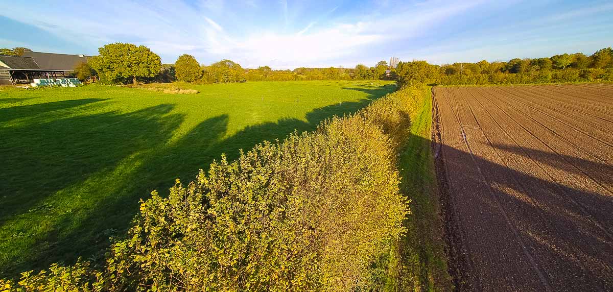 Schleswig-Holsteins schönste Knicks sind gefunden. Drei Knicks aus ganz Schleswig-Holstein haben es aufs Siegertreppchen geschafft, darunter ein Knick von Heiner Staggen aus Schipphorst im Kreis Plön