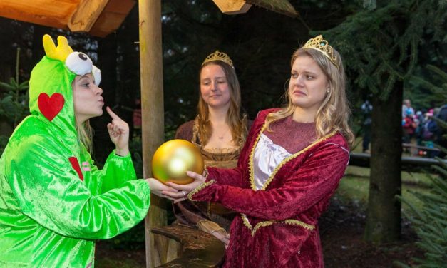 „Küss mich!“ Die Waldweihnacht 2017 im Erlebniswald Trappenkamp wird märchenhaft.