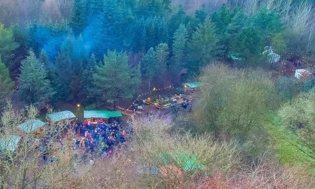 Besucher, Teilnehmer und Veranstalter erlebten eine zauberhafte und gelungene Waldweihnacht im Erlebniswald Trappenkamp.
