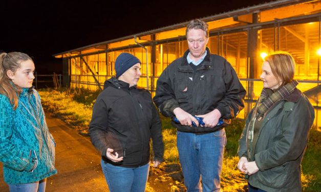 Staffelholzübergabe im Bezirksbauernverband Bokhorst. Heiner Staggen aus Schipphorst übergab die Leitung an den Schillsdorfer Landwirt Thomas Prien. Eine passende Gelegenheit, auch Politiker zum Hofgespräch einzuladen, fanden die beiden Landwirte.