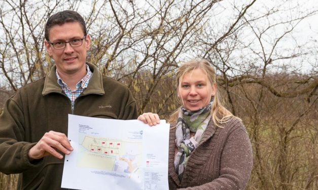 Hochlandrinder und bunte Bentheimer Schweine statt Nashorn und Antilopen – beim Wiesenbettcamping auf dem Rendswührener Hof Viehbrook sollen Gäste ein naturnahes Luxuscamping mit nordischem Flair erleben.